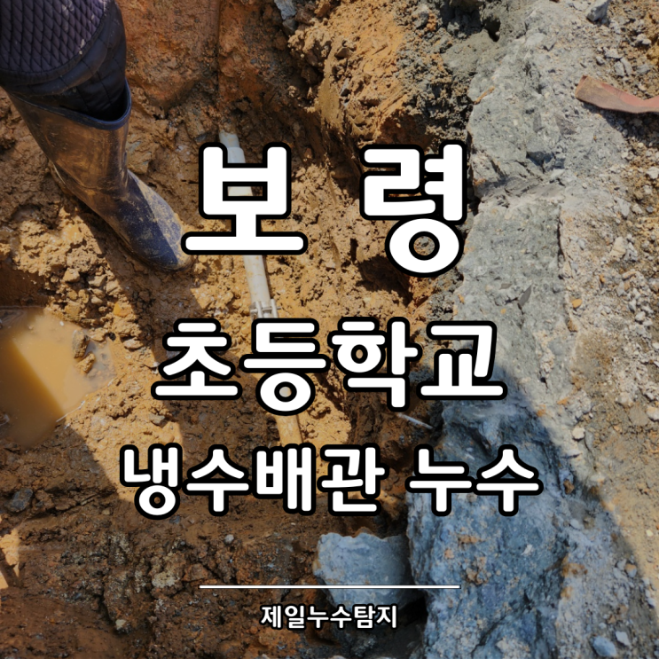  보령누수탐지 초등학교 냉수배관 누수