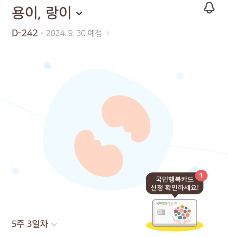 임신 5주차 | 아기집 확인, 보건소 임신등록, 임신·출산진료비 지급금(바우처) 신청, 국민행복카드 발급