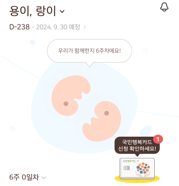 임신 6주차 |  심장소리 확인, 양가 부모님 임밍아웃, 입덧 시작?