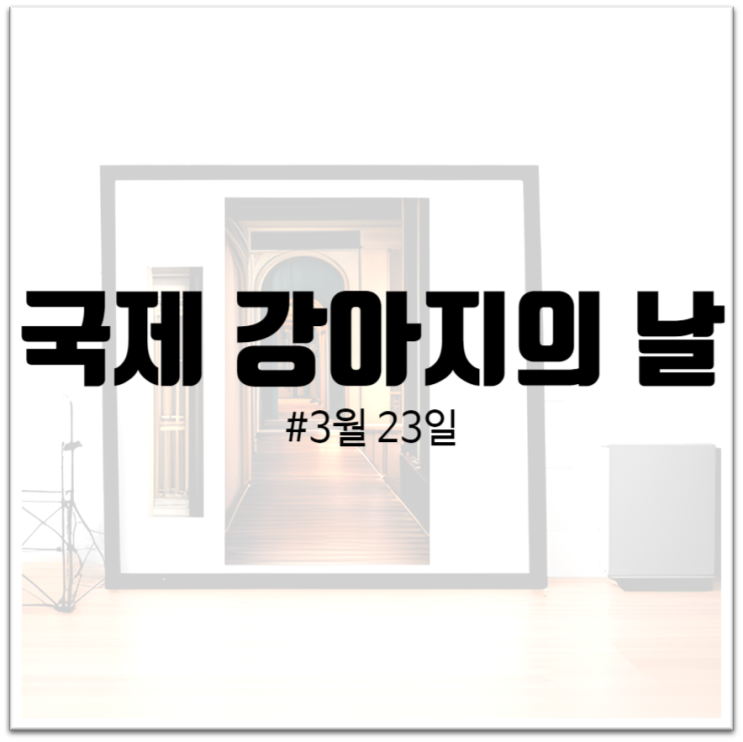  "국제 강아지의 날 : 세상 모든 강아지를 사랑하자"