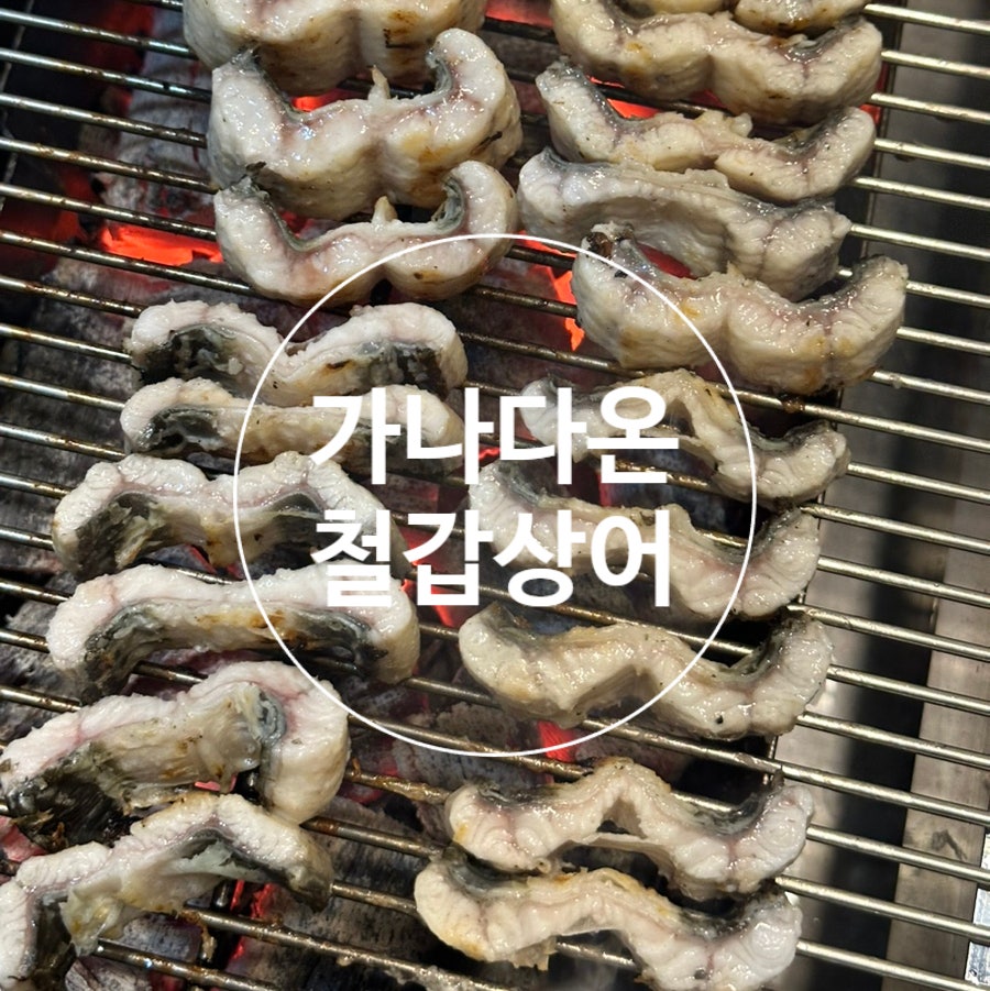 가나다온철갑상어 사진 1
