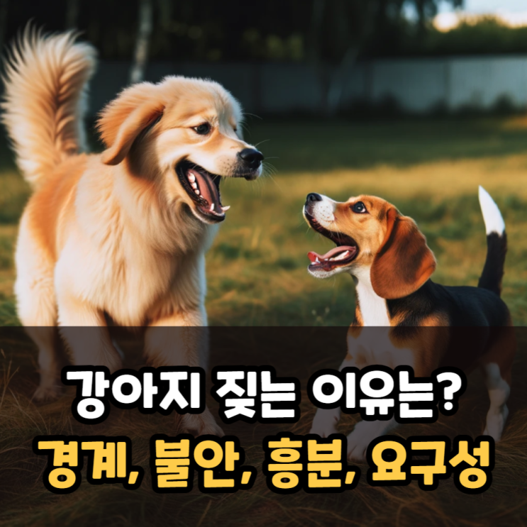  강아지 짖는 이유는? 경계, 불안, 흥분, 요구성 짖음 등