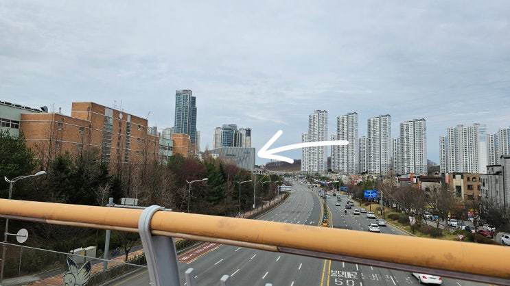  내돈공부 : 2024년 3월 다섯째 주 일본어수업 피드백 : 갤러리아 일본어 윌메이트 전화일본어 랭디일본어