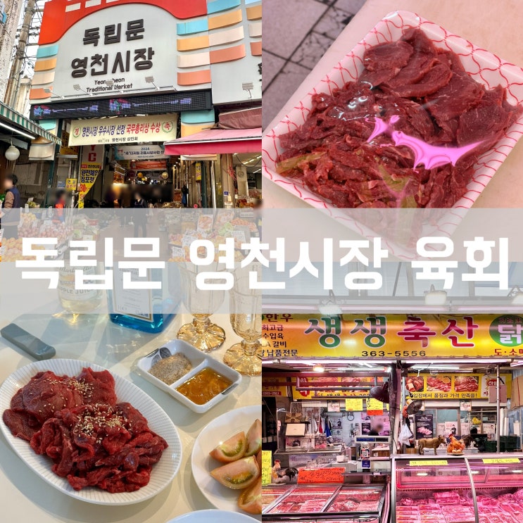  서울 독립문역 영천시장 육회 맛집 365 생생축산 서대문 저렴한 한우 정육점