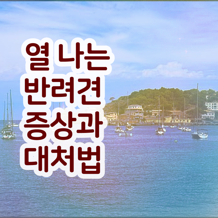  반려동물과   반려동물과 교수  반려동물관리사 쉽게 자격증 취득  전격분석