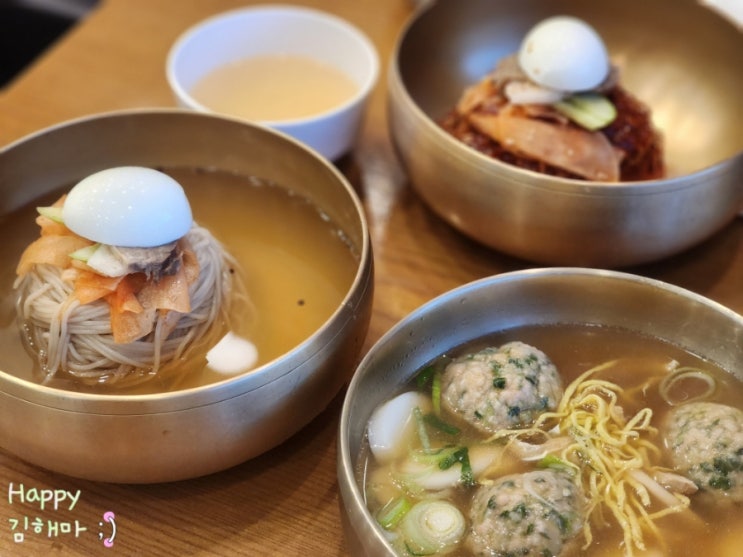  제대로된 평양냉면 맛집 일산 식사동맛집 동무밥상