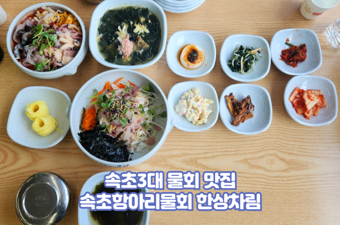  속초아이 바라보며 즐긴 항아리물회 현지인 맛집 찐후기