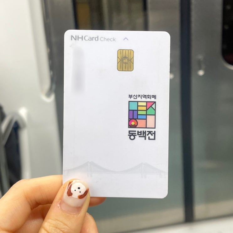  동백전 교통카드 동백패스 사용법 정리 | 환급 신청 방법은? 삼성페이