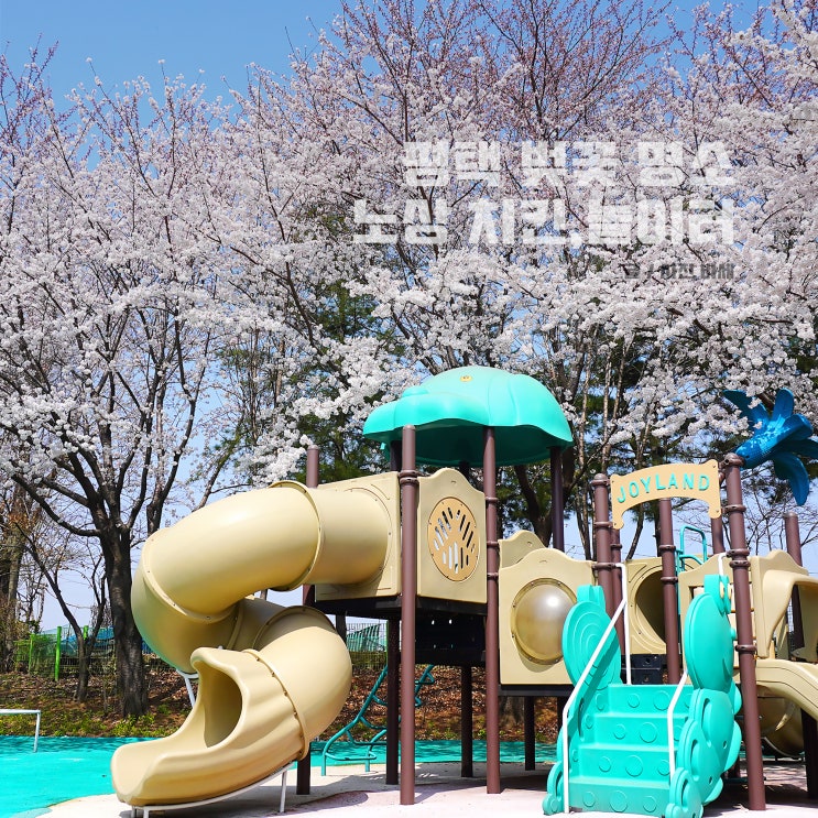  평택 벚꽃 명소, 평택 나만의 벚꽃 명소 소개