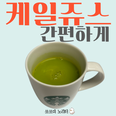  케일 파우더와 강황 커큐민 가루로 간단하게 케일 주스 만들어 먹기, 내돈내산 후기