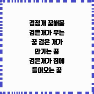 검정개 꿈해몽 검은개가 무는 꿈 검은 개가 안기는 꿈 검은개가 집에 들어오는 꿈