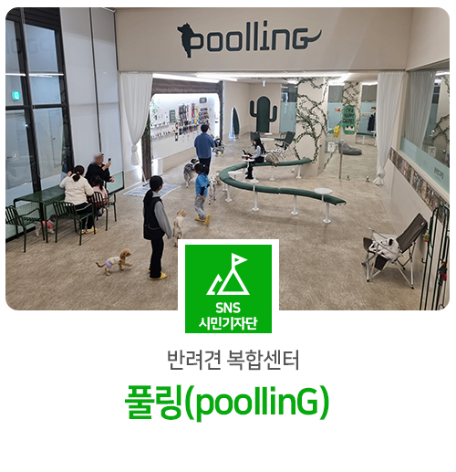 사진 2