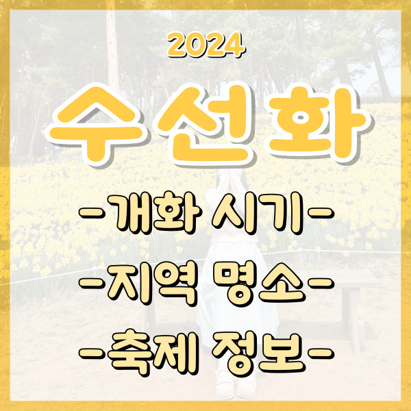  2024 수선화 개화시기 전국 명소 서산 축제 꽃말 총정리