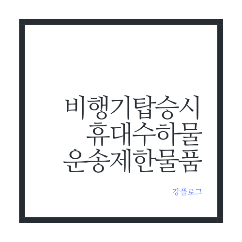 비행기 탑승 시, 휴대 수하물 및 운송 제한 물품