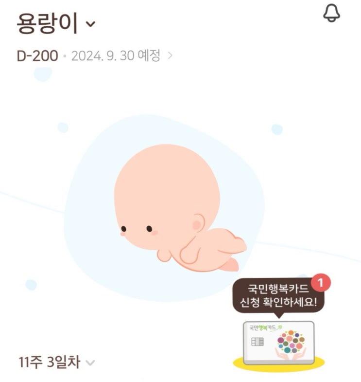 임신 11주차 | 일산차병원 산부인과 첫진료, 보건소 임산부건강검진, 밤부베베 주문