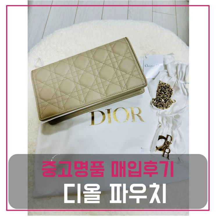  크리스찬 디올 WOC 파우치 매입