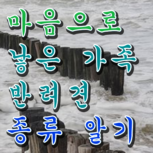  반려동물 등록   반려동물 등록제  반려동물관리사 자격증 취득  알고 싶은 정보 가득