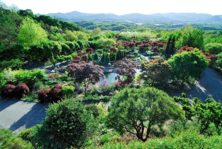 산림청, 수목원 세금부담 줄이고, 산림분야 외국인력 고용 허용