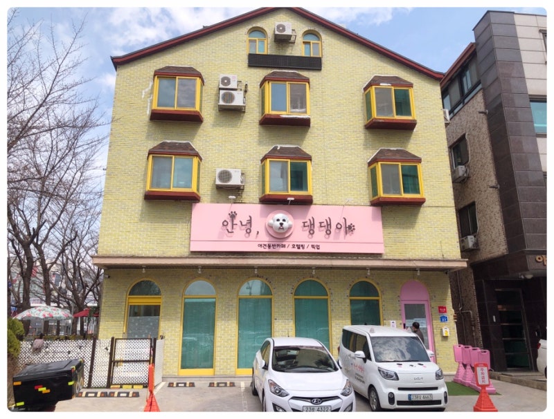 사진 2