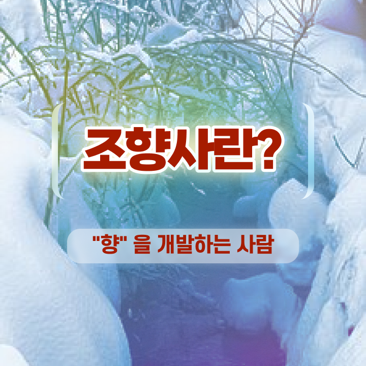 서울 향수공방   서울 향수공방 데이트  조향사 자격증 단기 취득법