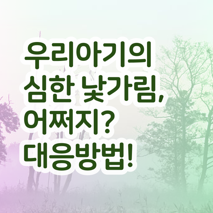  아동소통지도사 교육  아동소통지도사 자격증 도전기  궁금증 해결