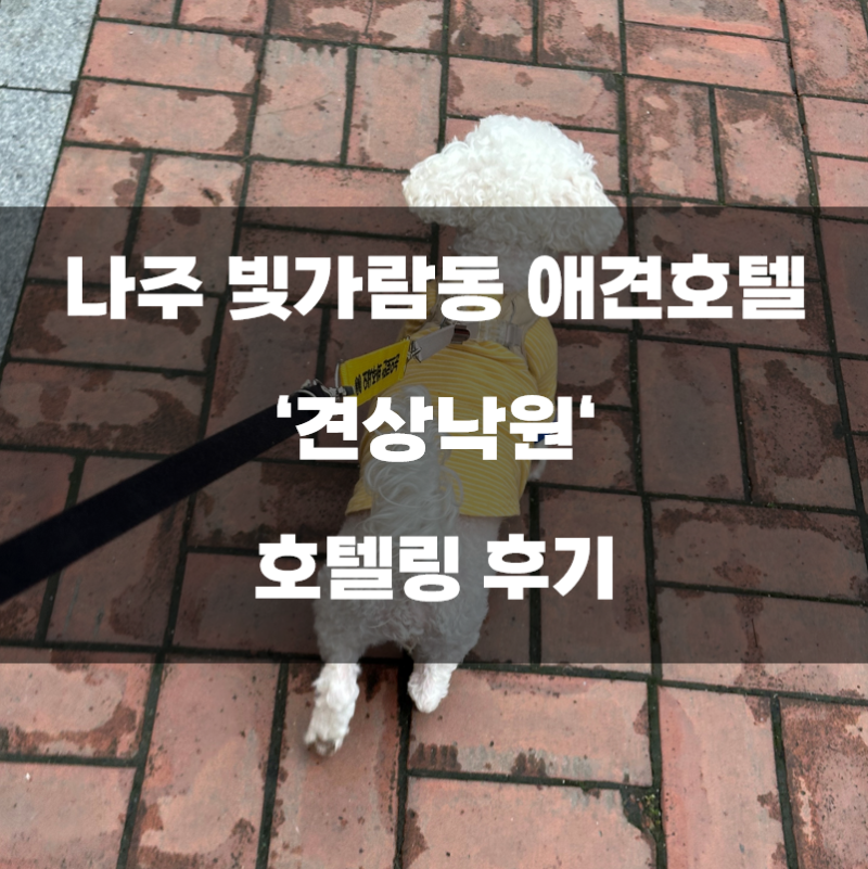 견상낙원