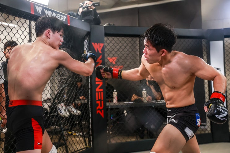 KMMA 16, 3월 30일 서울 위너즈 사옥에서 개최...시청 인증 치킨 쿠폰 증정 이벤트 KMMA 16, 3월 30일 서울 위너즈 사옥에서 개최...시청 인증 치킨 쿠폰 증정 이벤트