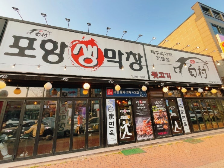  포항 돼지막창맛집 백촌 문덕점 방문기