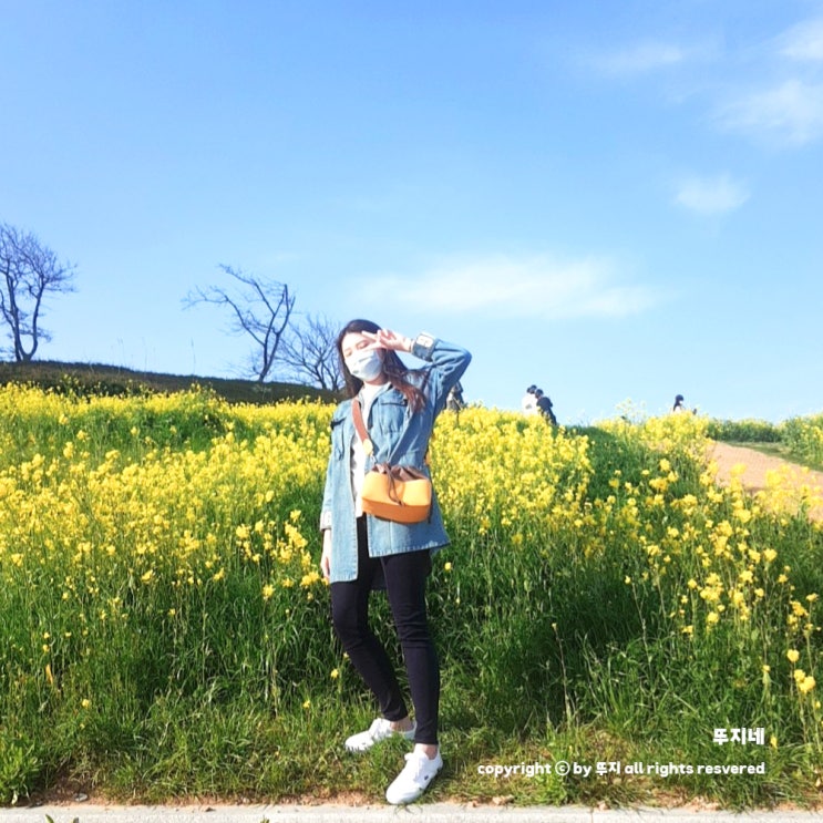  오륙도 해맞이 공원: 부산 가볼 만한 곳(feat. 수선화, 유채꽃, 주차장)