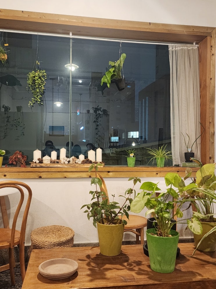  개별 공간이 있어 힐링되는 전포 조용한 카페 카페그안 내돈내산