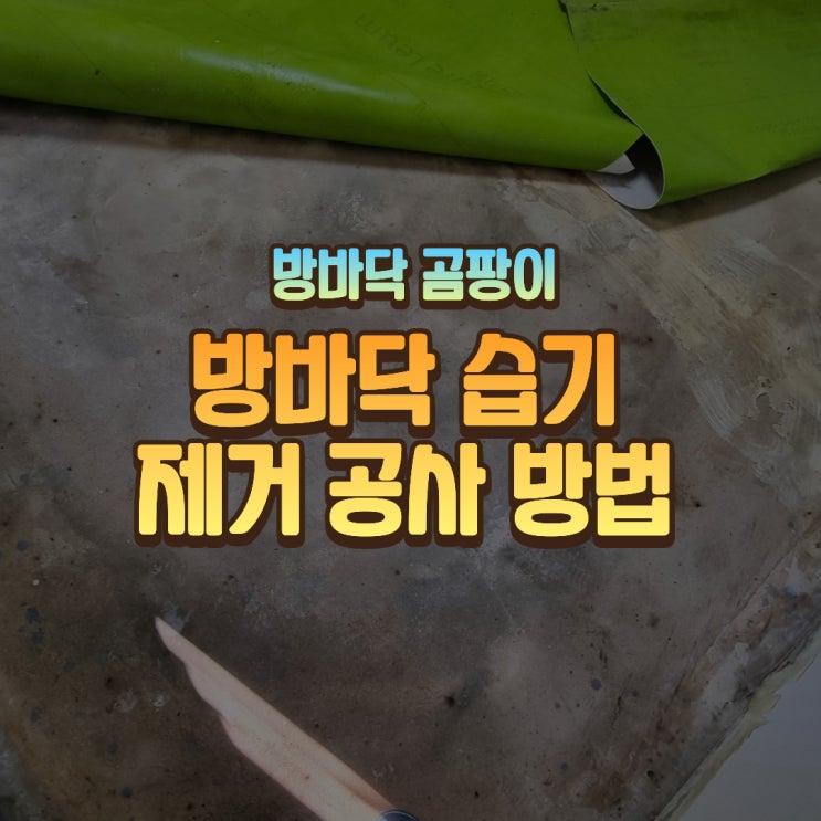  방바닥 습기와 바닥 곰팡이 문제 해결 방법