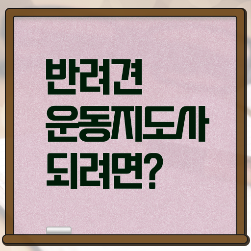  반려견운동지도사 전문가  반려견운동지도사 무료 강의