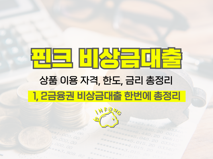  핀크 비상금대출 대상 조건 신청 및 거절 정리