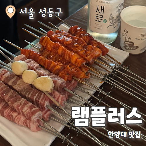  램플러스 한양대직영점 : 한양대 양꼬치 맛집 내돈내산 후기