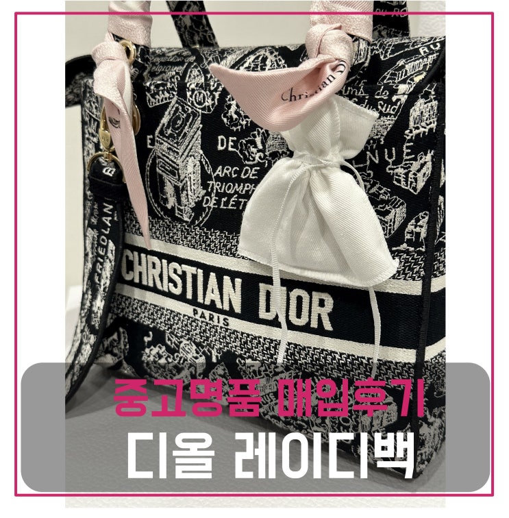  디올 레이디백 매입