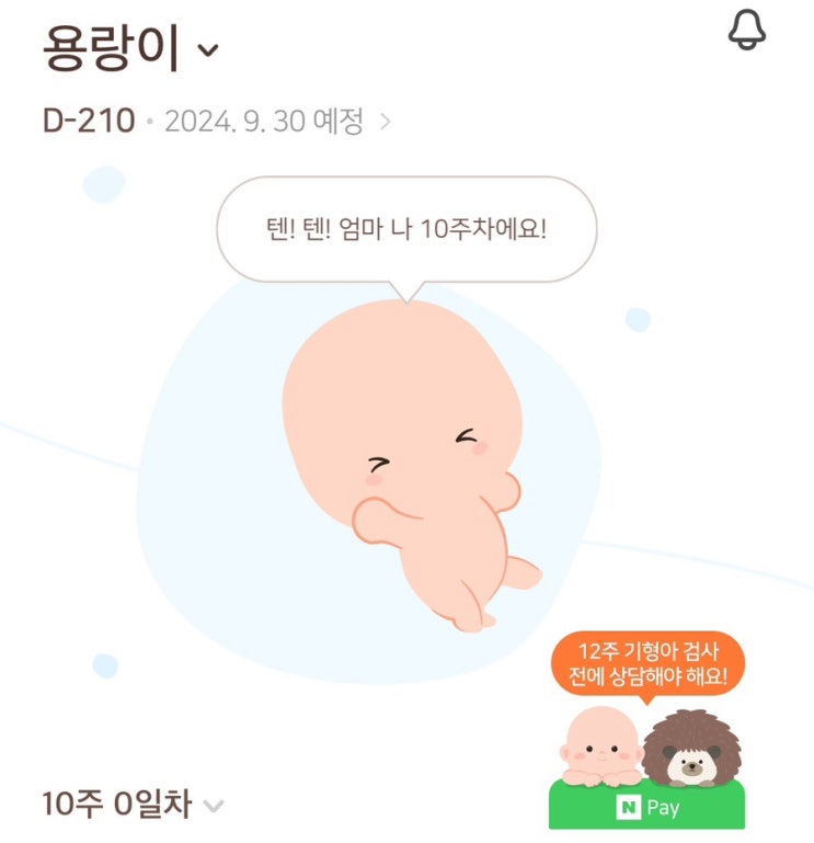 임신 10주차 | 초음파앨범 꾸미기, 진세진산부인과 초음파 자궁경부암검사, 튼살크림 주문