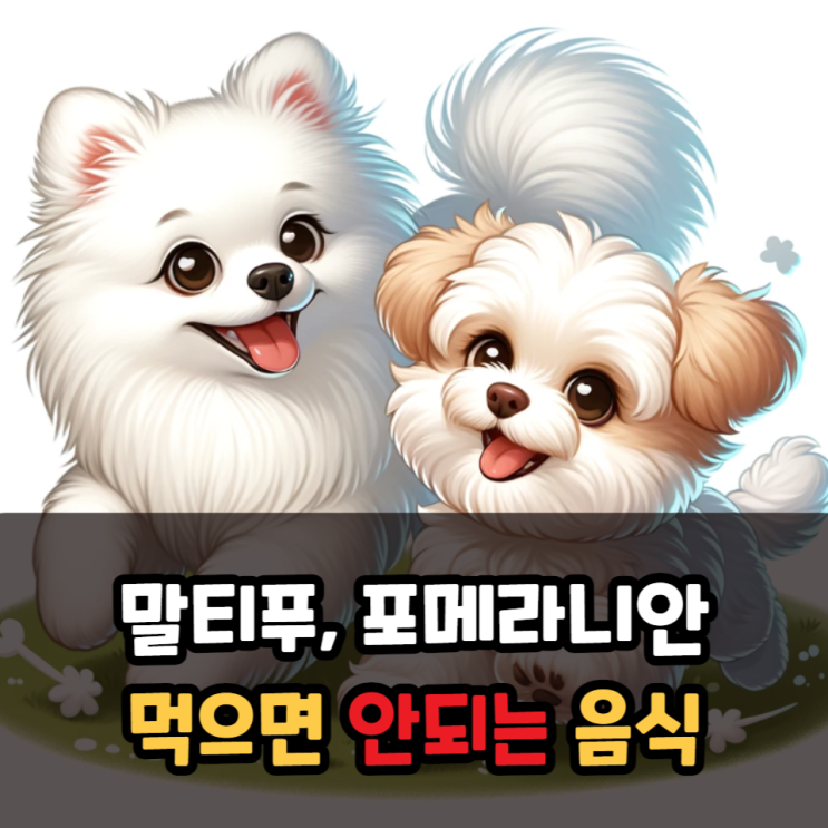  말티푸, 포메라니안 먹으면 안 되는 음식과 강아지 식중독 증상