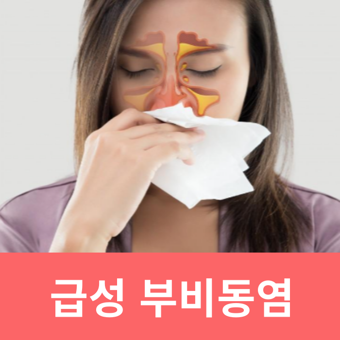  급성 부비동염 열 두통 원인 증상 항생제