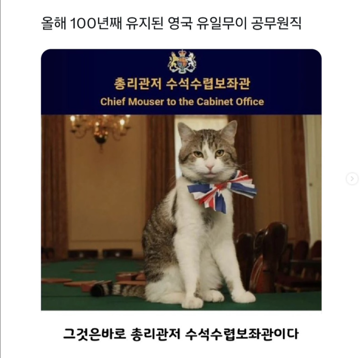 올해 100년째 유지된 영국 유일무이 공무원직