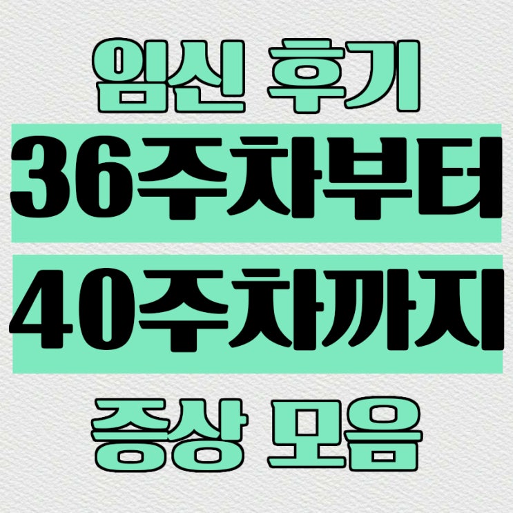  임신10개월차 후기 36주차부터 40주차까지 막달증상모음, 이슬기전, 파수, 탯줄탈출