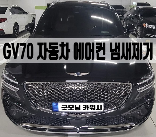  자동차 에어컨 냄새 제거 하남 GV70 쏘렌토 에바크리닝 후기
