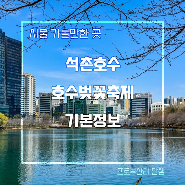 2024 석촌 호수 벚꽃 축제 기본정보 산책하기 좋은 서울 대표 공원 개화상태