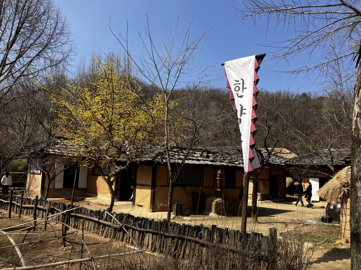  한국민속촌 봄시즌 축제 웰컴투조선 방문기! 꽃은 아직ㅎ