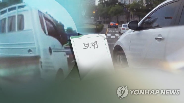 자동차 보험사기 피해자 구제절차 도입…벌점삭제·범칙금 환급 자동차 보험사기 피해자 구제절차 도입…벌점삭제·범칙금 환급