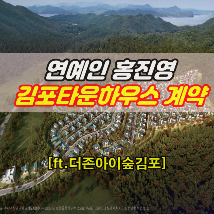  연예인 홍진영 김포타운하우스(ft.더존아이숲김포)