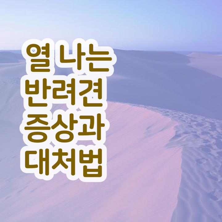  반려동물관리사민간자격증  반려동물관리사 공부 방법  정보 가득