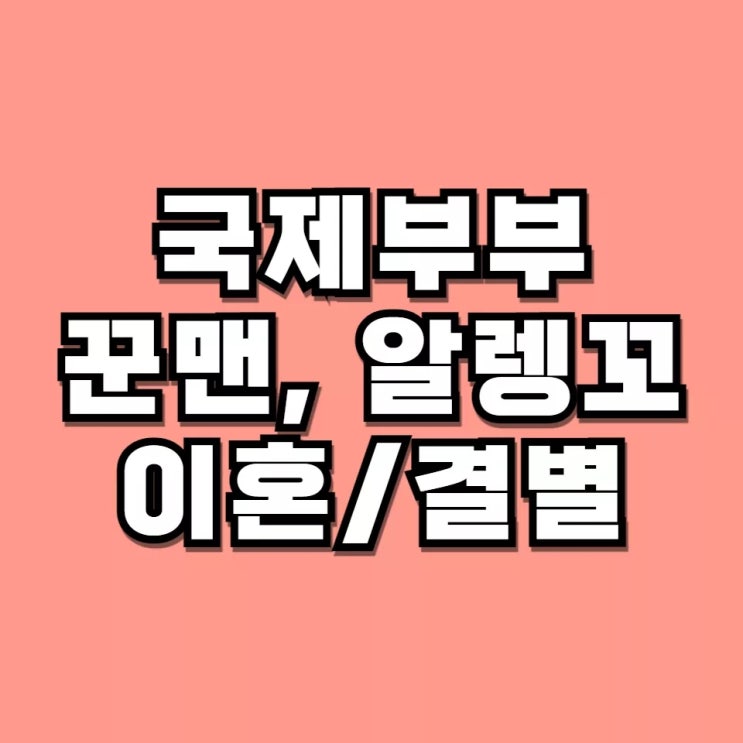'한국, 체코 국제부부 유튜부 <b>꾼맨</b>-알렝꼬 이혼' 이혼사유는?