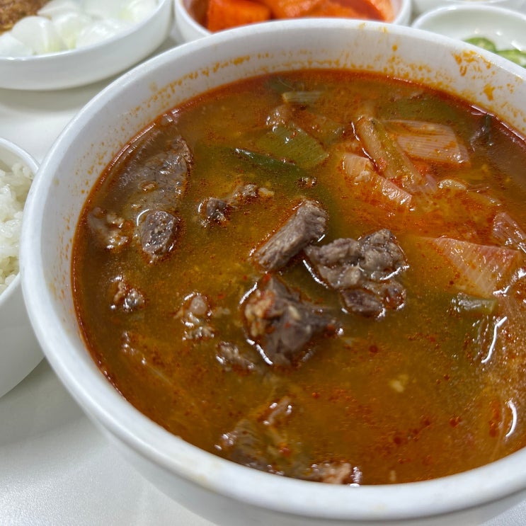  신논현역 한우 육개장 맛집 혜장국, 강남 직장인 혼밥 추천