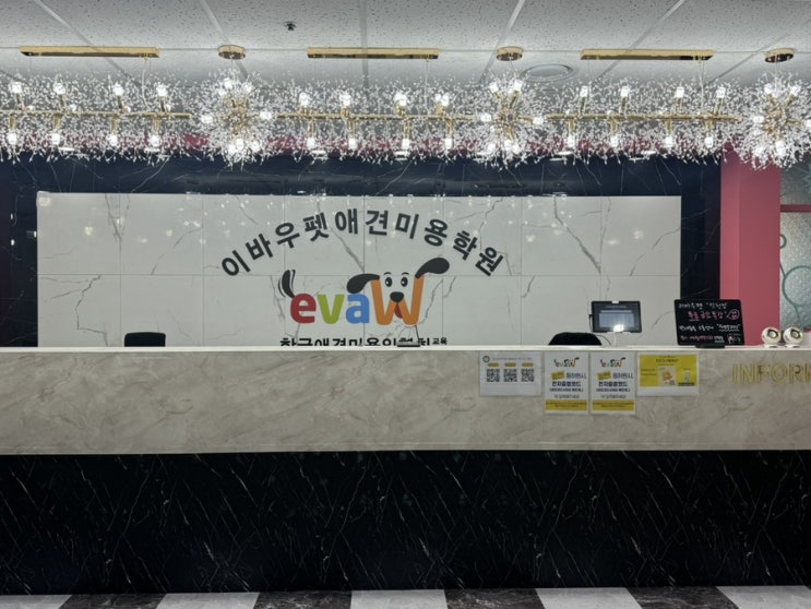  인천애견미용학원 오후반 직장인 퇴근 후 창업반 공부