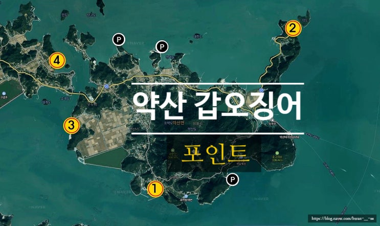 완도 갑오징어 쭈꾸미 낚시 워킹 포인트 24년 3월 탐사기